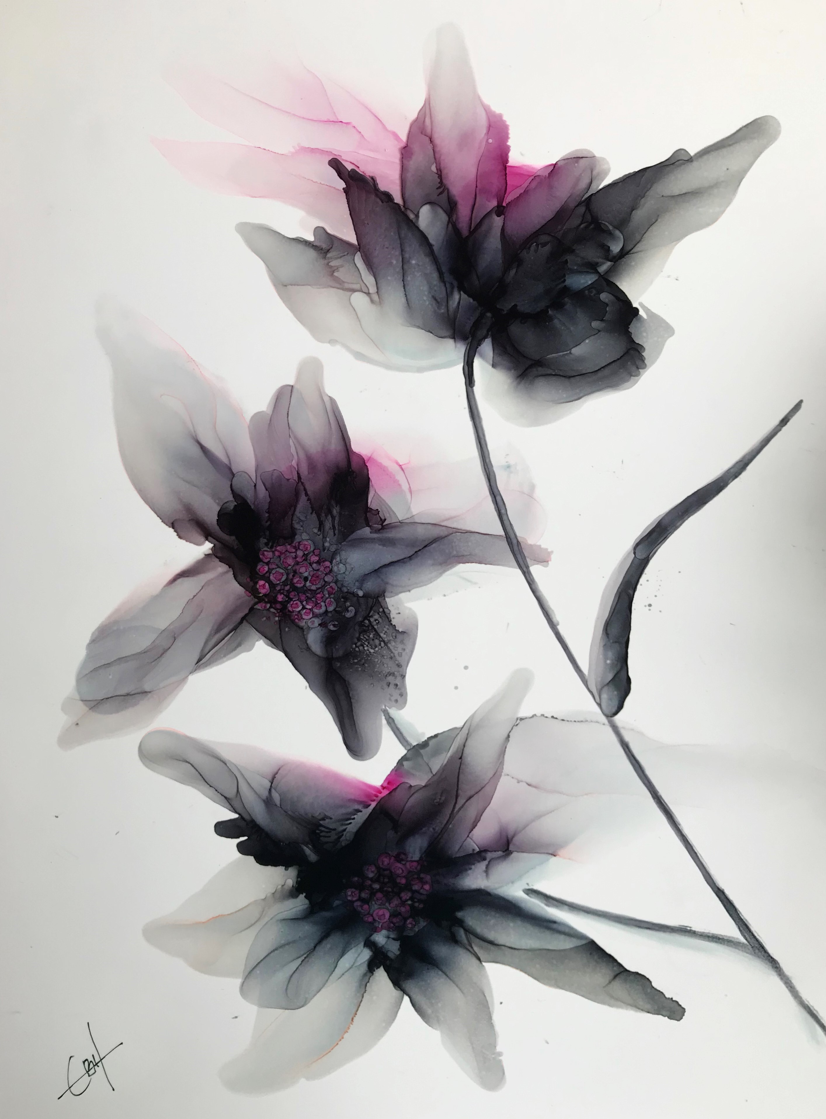 charlotte bøgh aagaard - Flowers in Ink 7